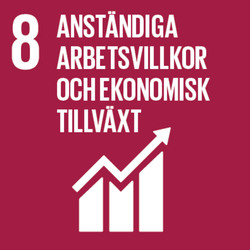 FN:s mål nr 8: Anständiga arbetsvillkor och ekonomisk tillväxt
