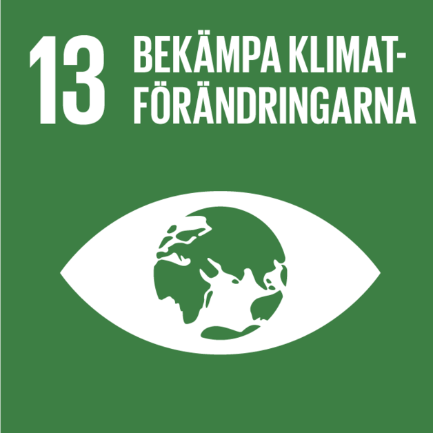 FN:s klimatmål nummer 13, bekämpa klimatförändringarna.
